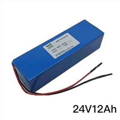 Bateria LiFePo4 de 24 V 12 Ah
